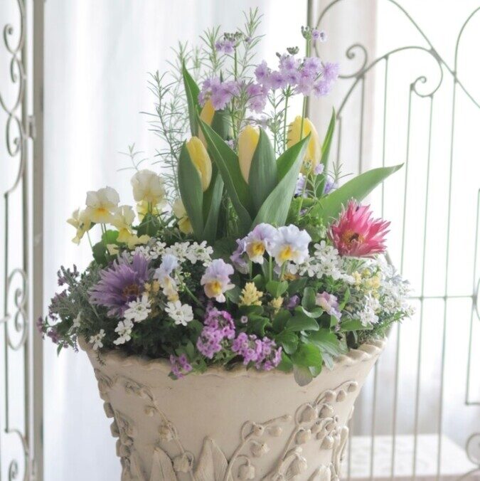 花の写真