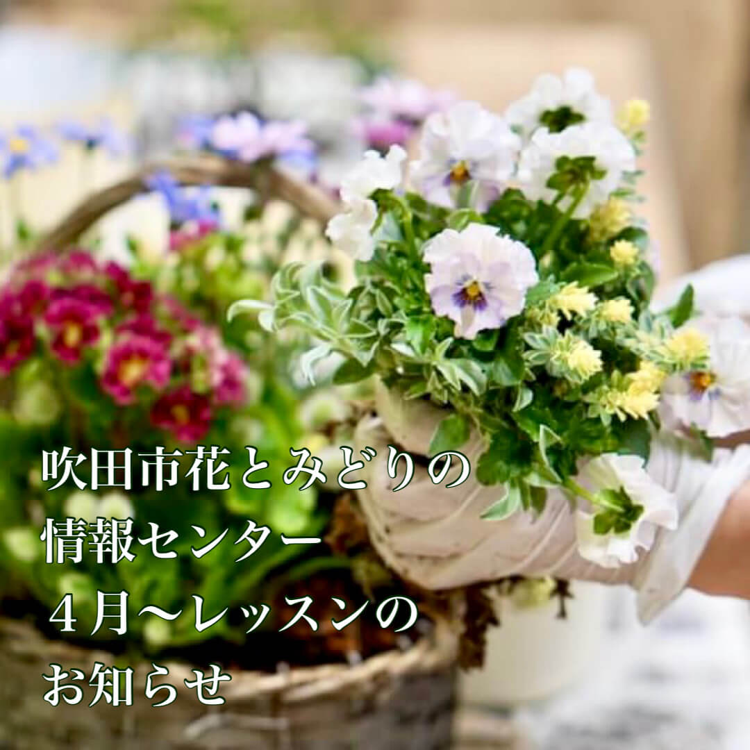 吹田市花と緑の情報センター 4月 のプランツギャザリング講座 ベルデ