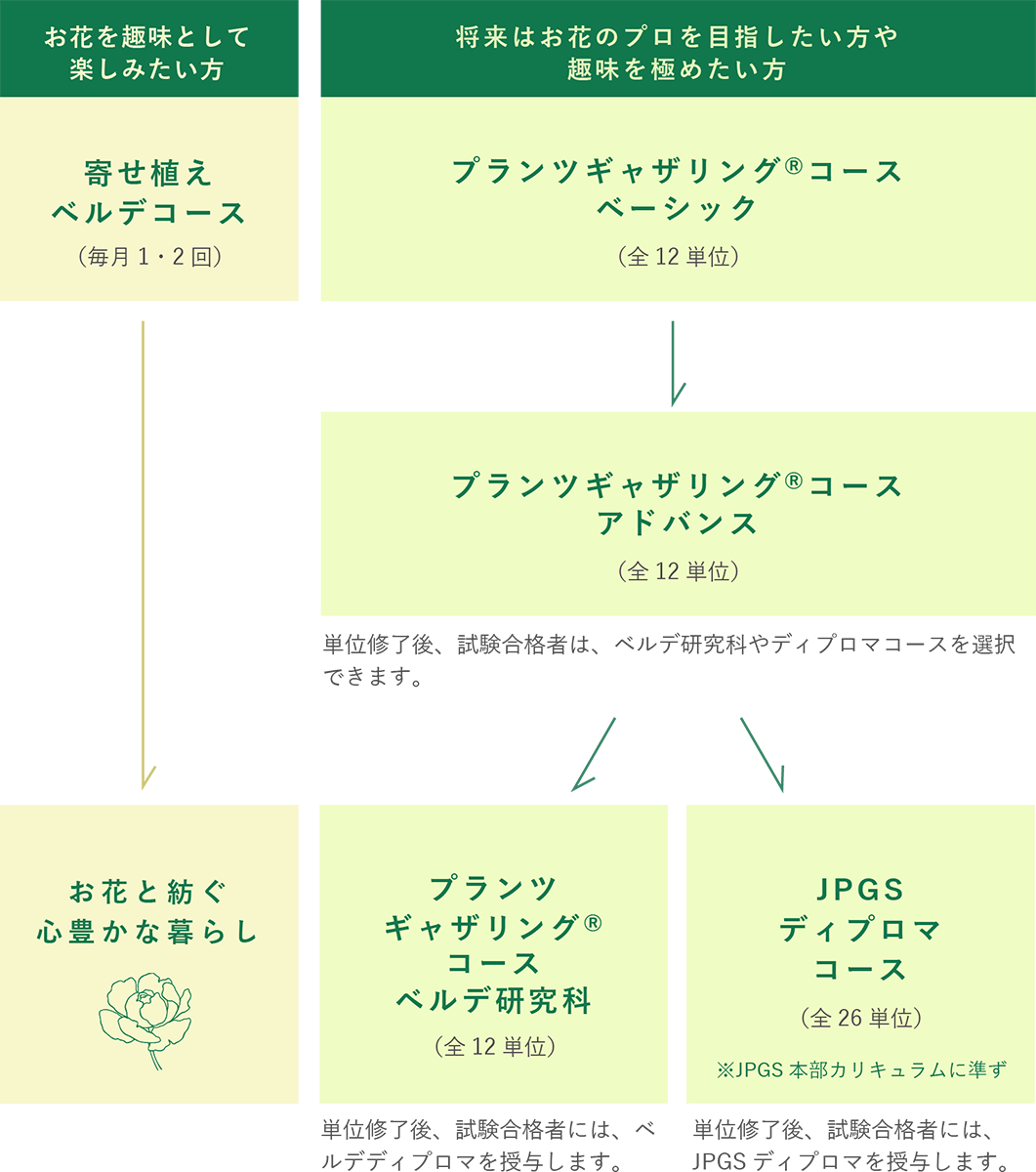 各コースの進み方のイメージ