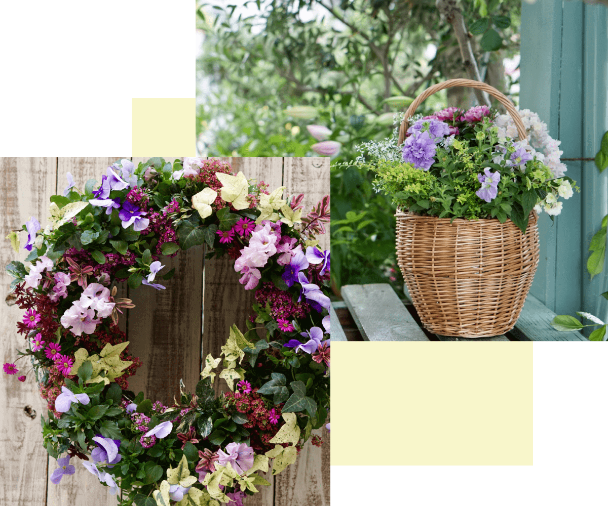 寄せ植えフリーコース(プランツギャザリング) 体験レッスン